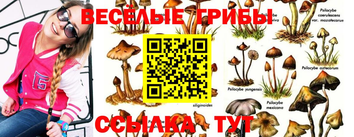 Кстово  Псилоцибиновые грибы прущие грибы  Вход с VPN  Галлюциногенные грибы прущие грибы 